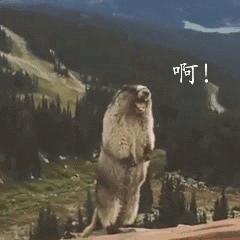 楼顶噪音用什么材料隔音,防噪音的隔音怎么做才好