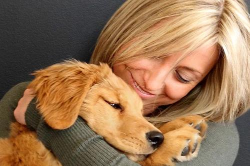 用抱宝宝的方式抱狗狗,抱狗的四个方式