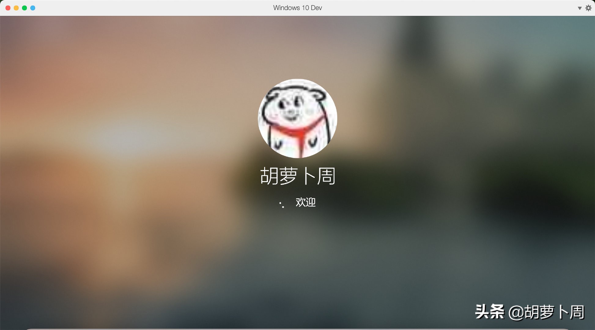 windows10太阳谷版,windows10太阳谷建议更新吗
