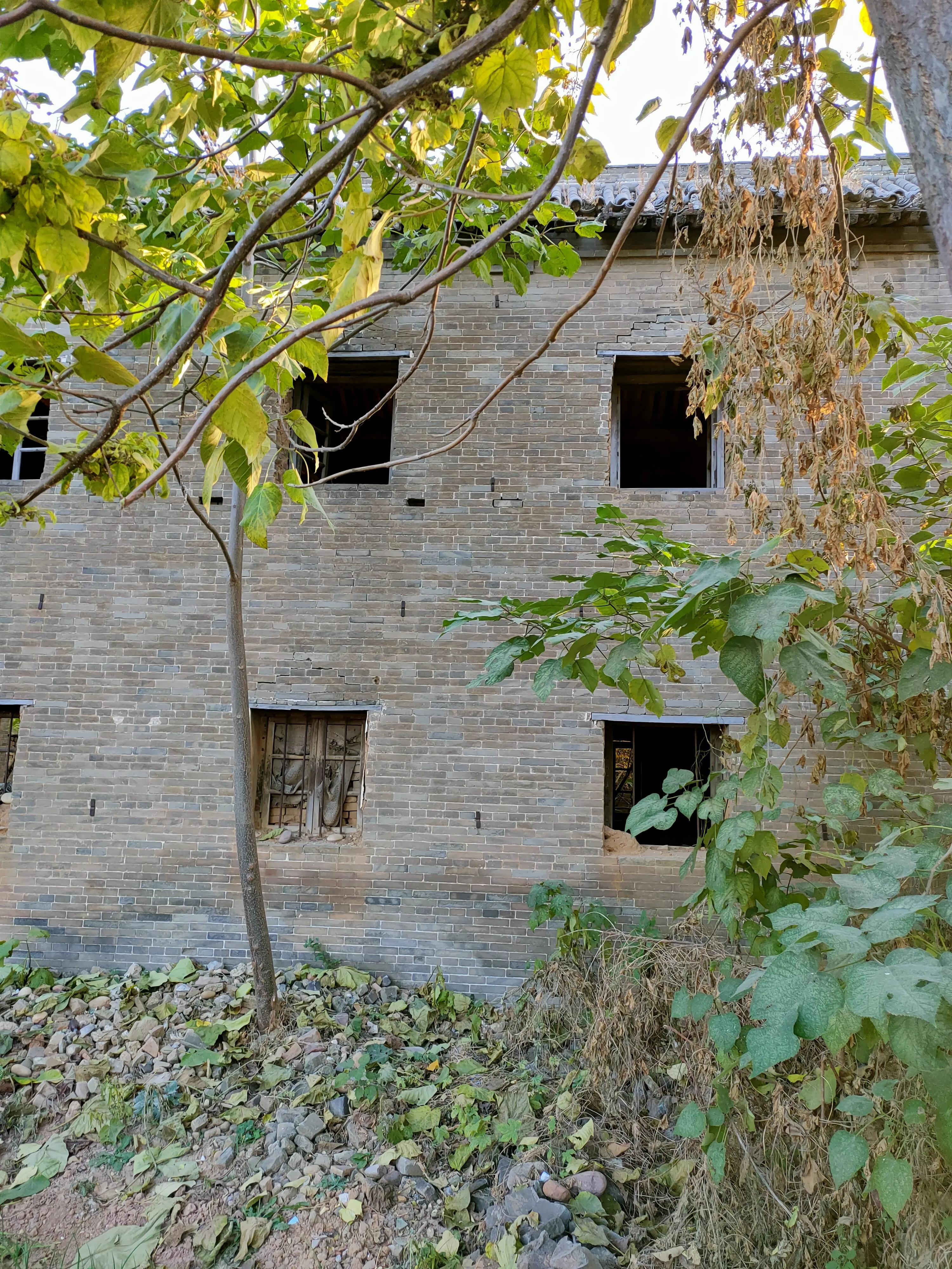 安阳县安丰乡东稻田,安丰乡东稻田