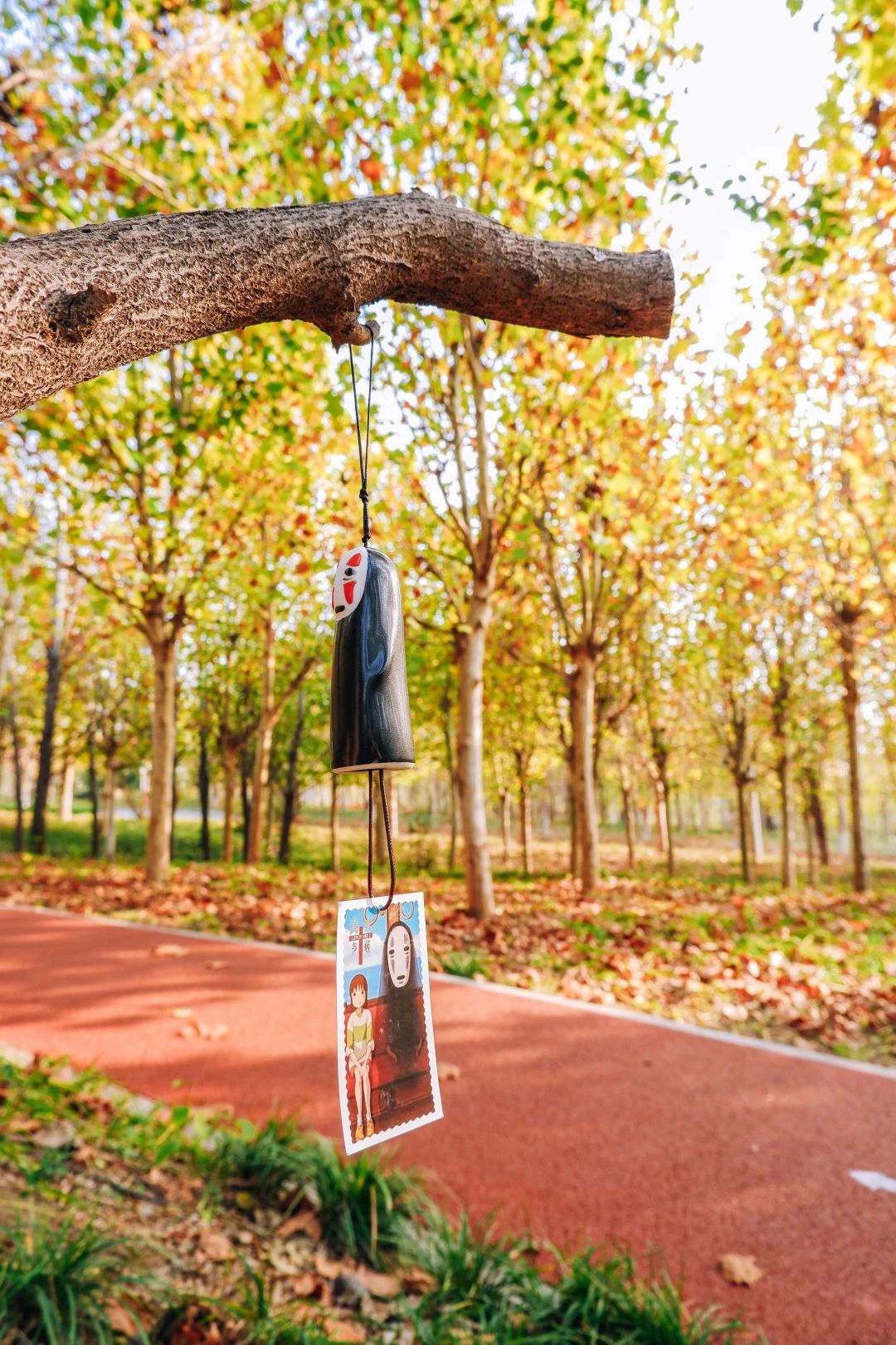 郑州漂亮的秋色风景,郑州的这些湖畔藏着最美的秋色