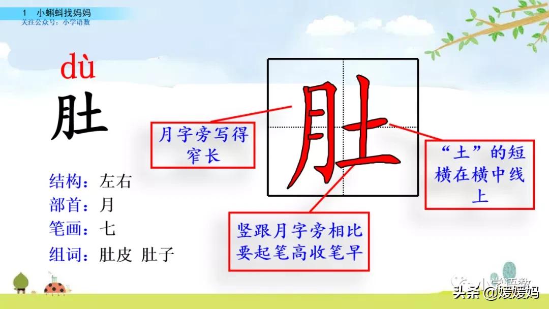 二年级上册小蝌蚪找妈妈听写词语,朗读二年级上册语文小蝌蚪找妈妈