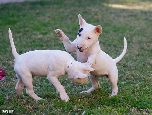 为啥说异性相吸,为什么说异性相吸