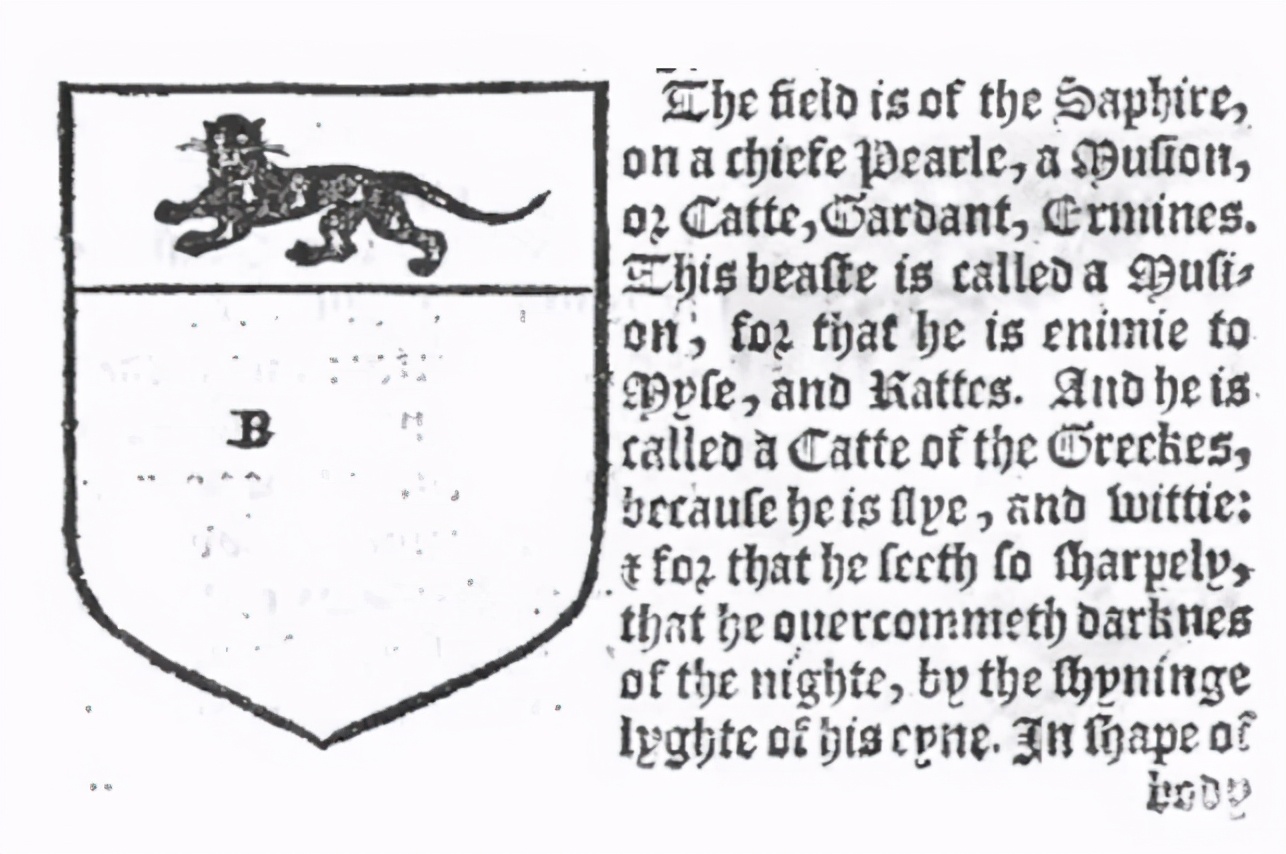 1849年物理学家麦克斯韦,物理学麦克斯韦