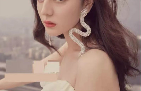 耳环款式图银,优雅耳环必备款式图片大全