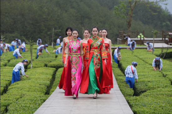 喝杯英山云雾茶静静,等等还未追上的灵魂