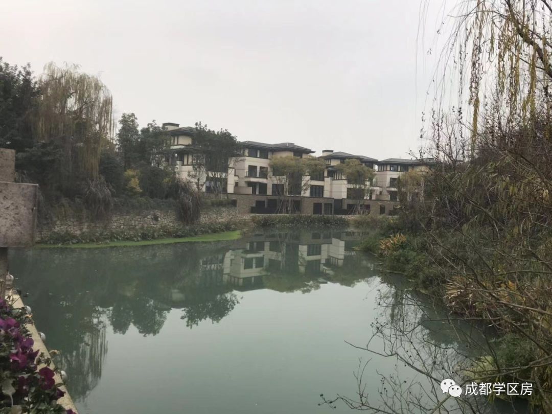 华侨城小学配套什么中学,华侨城对口小学