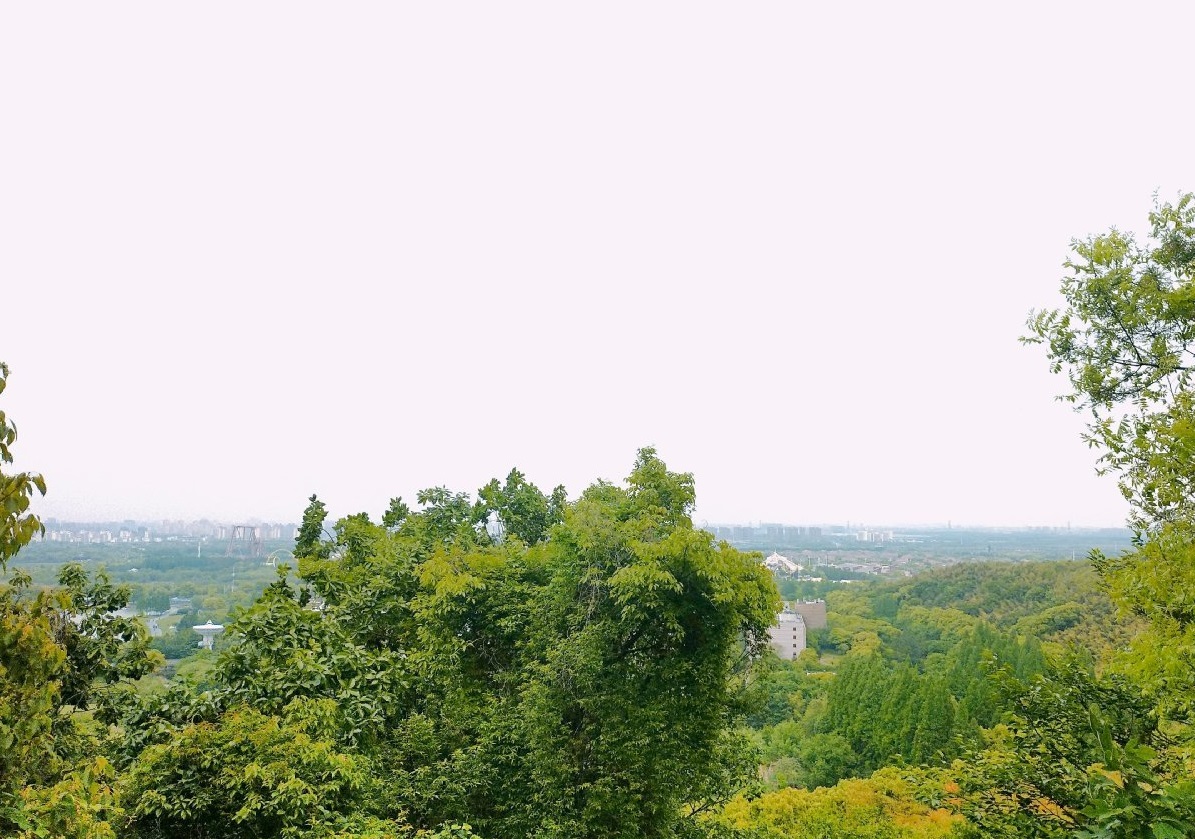 上海佘山国家森林公园顶峰风景,上海佘山最高点