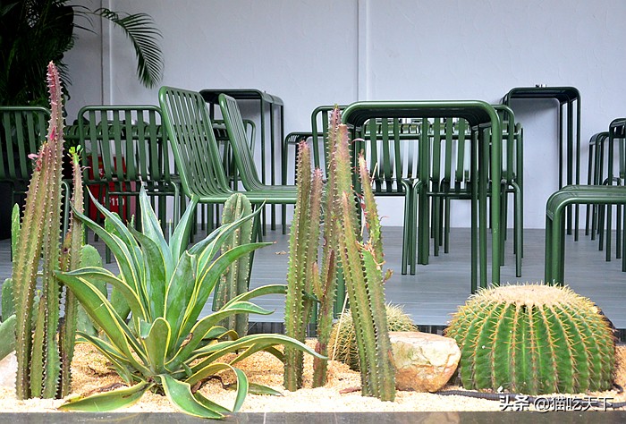 手推咖啡车起家，这家咖啡厅有何秘诀，七年开店遍布鹭岛？