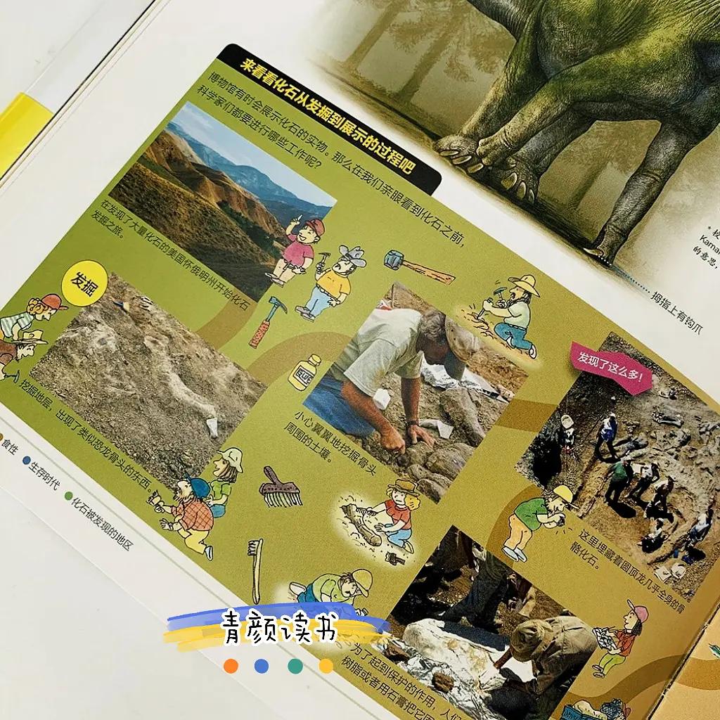 与恐龙同行纪录片在线观看,与恐龙同行特辑海怪第一集