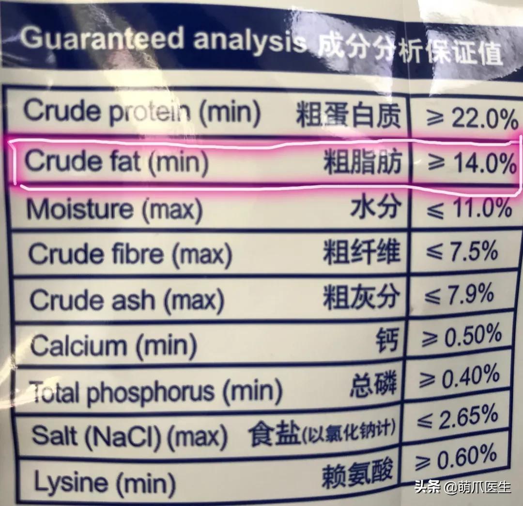 猫咪黑下巴毛囊炎的终极解决办法,猫咪有毛囊炎胡须还能长出来吗