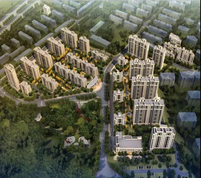 中海点亮城市版图,唤醒城市进化的力量