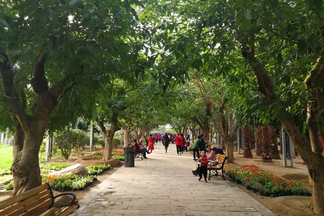 自驾游九天最佳路线图,九天休闲谷溜一圈