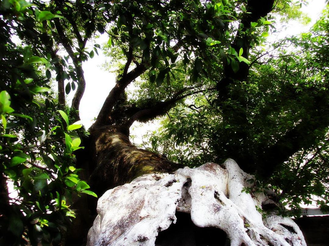 温州非遗最新消息,温州最新地标