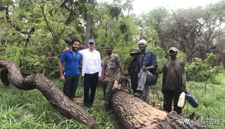 尽显东方气韵！东家“花梨院子”“七号檀院”惊艳临沂怡景丽家
