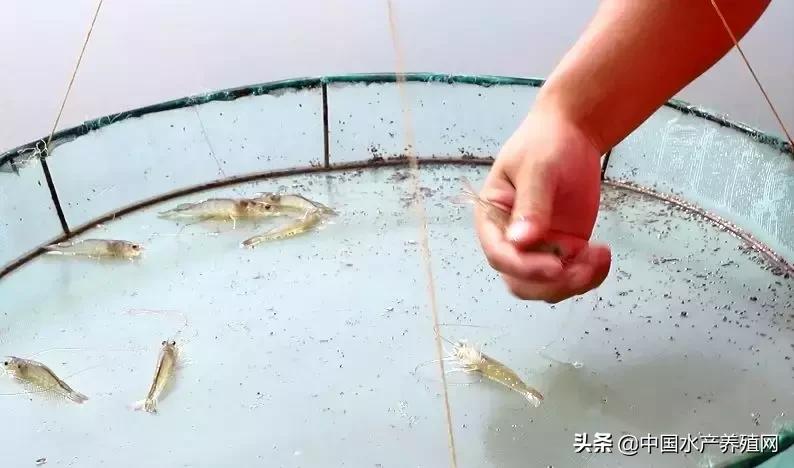 曾经生意亏损100万,曾经创业亏损100万