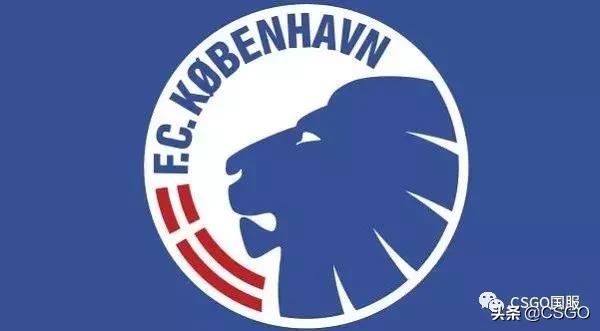 「职业圈」ENCE、Vitality、Fnatic、North队名由来，你猜的到吗