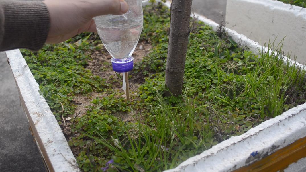 生活小妙招做自动浇水神器,制作自动浇水神器可以浇一个星期