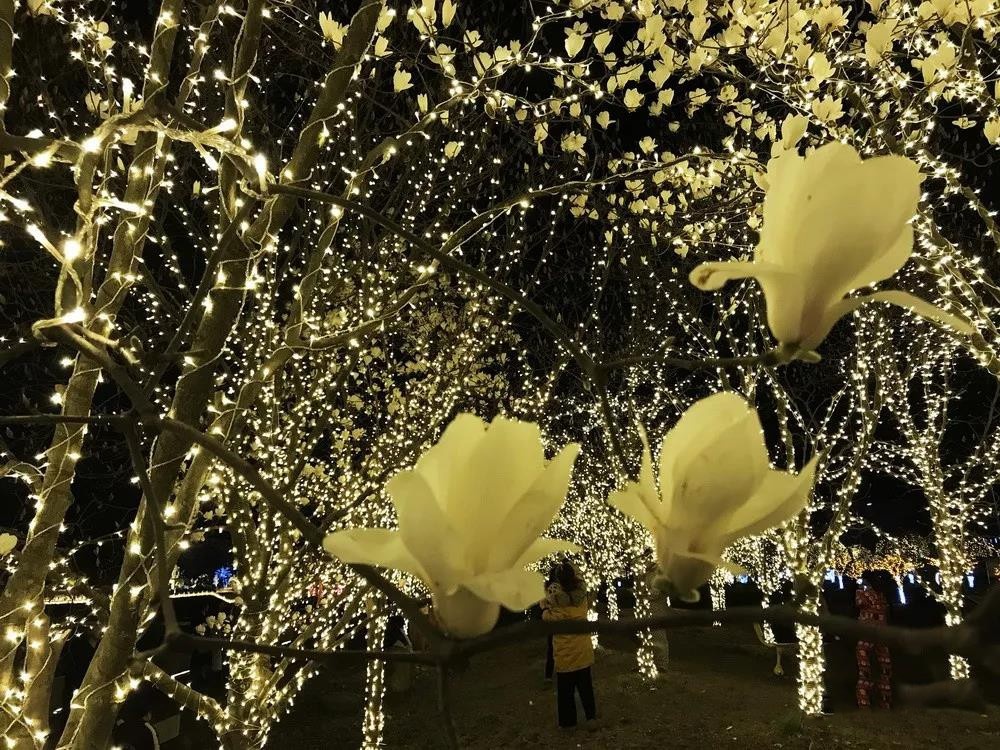 台州踏春好去处,最是一年春好处朗诵