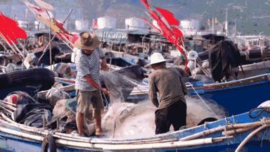 看饿了!南海开渔,佛山人去这些地方吃到high