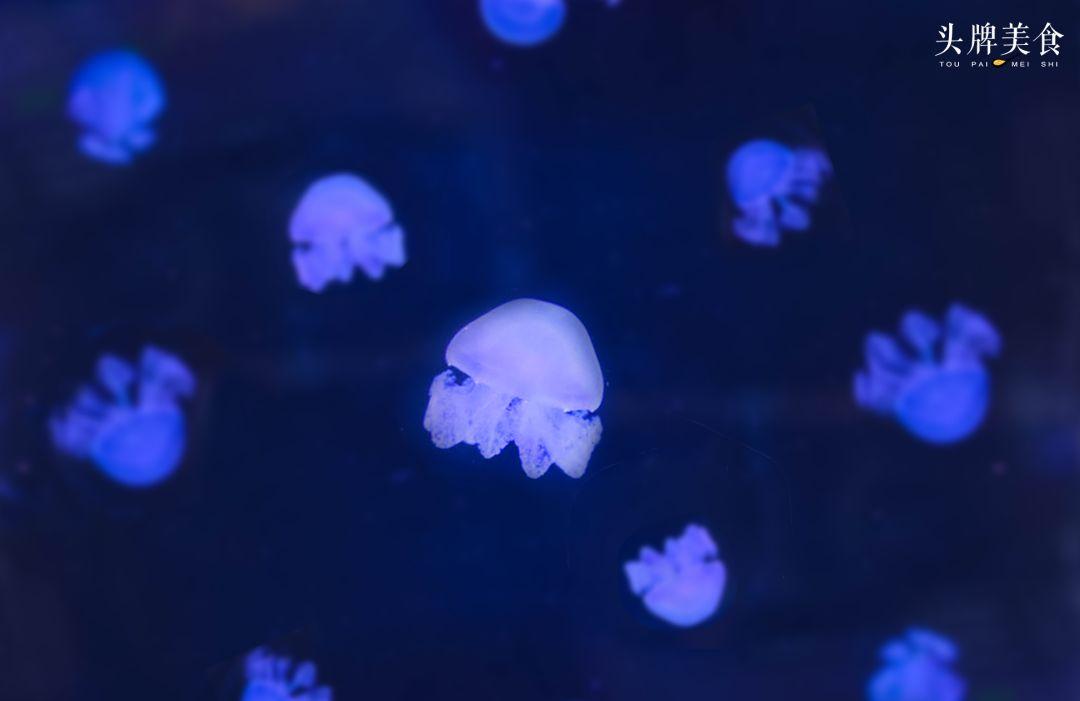 绚丽珊瑚海300+种海底生物，火爆盆友圈的网红打卡圣地就在中山路