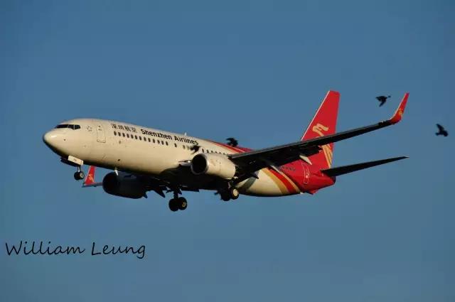 航空百科聊聊波音777,波音737飞机科普知识