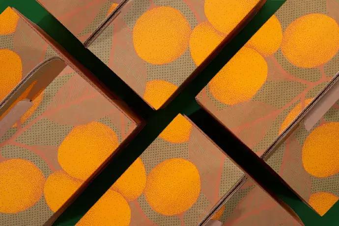 土特产电商设计策划方案,八年级美术土特产包装设计草稿图