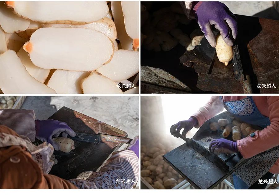 贵州道地药材天麻,道地药材天麻之乡