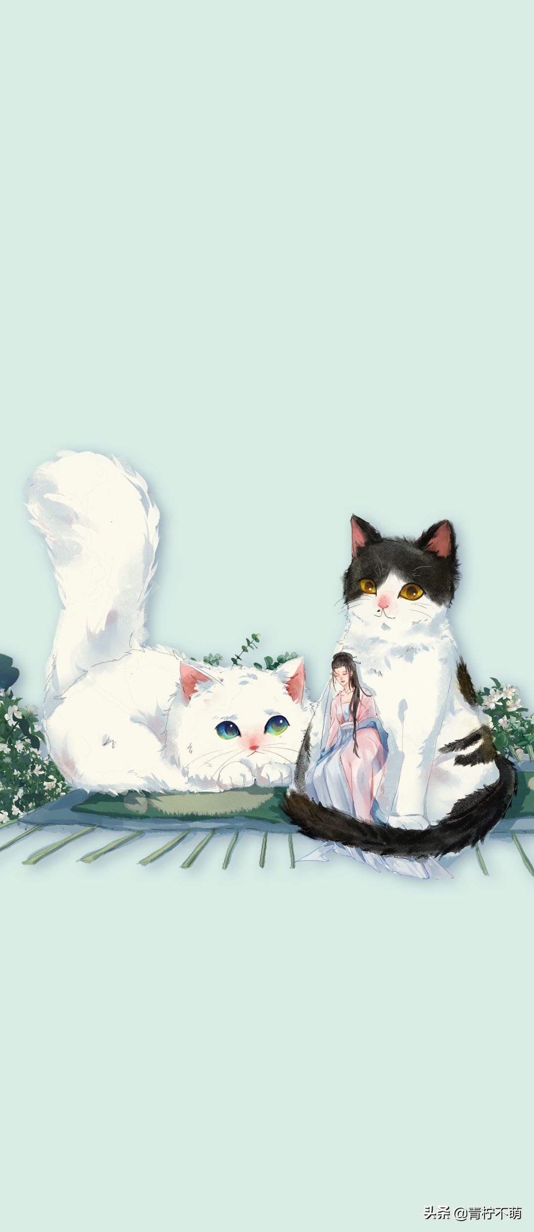 苹果13原装高清壁纸4k全屏无水印,4k超清壁纸1080p无水印全屏苹果