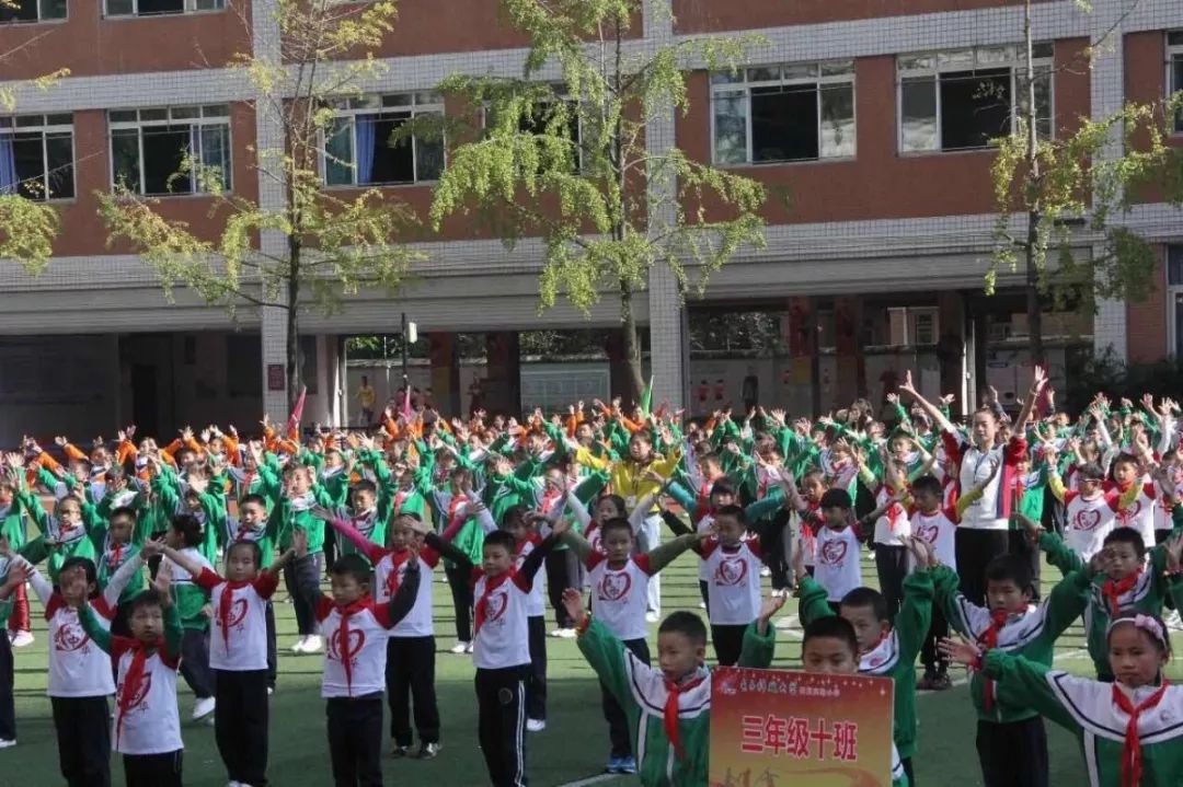 成华区比较好的小学有哪些,成华区小学初中比较好的区域