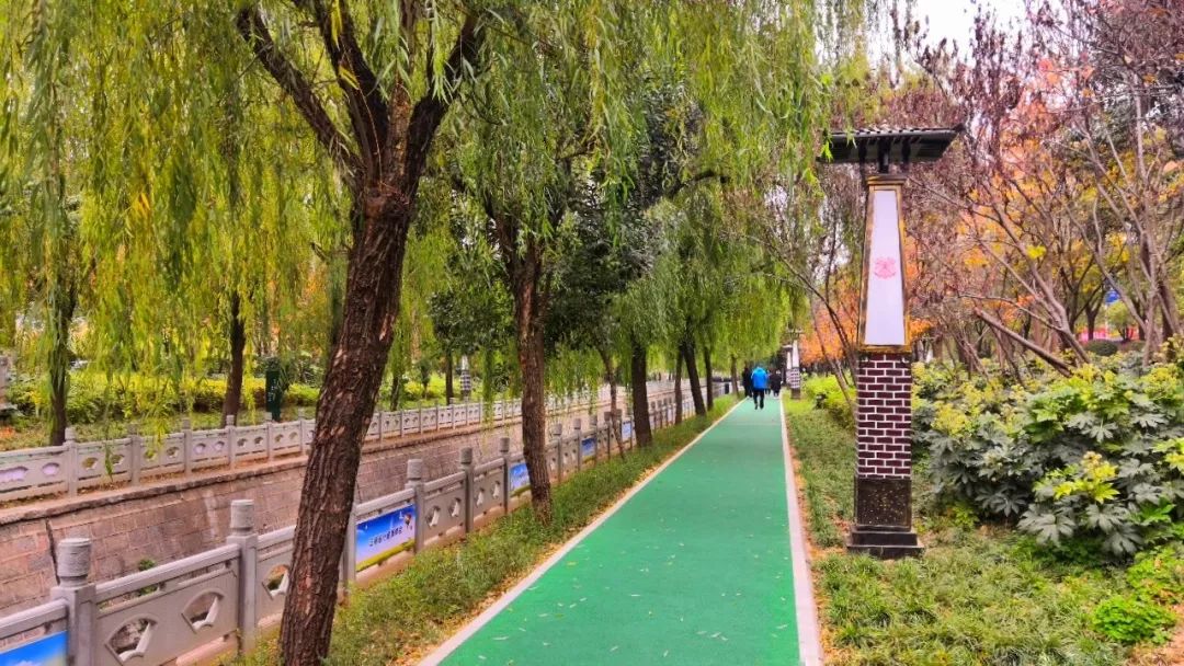 洛阳的居住环境,洛阳居住的真实感受