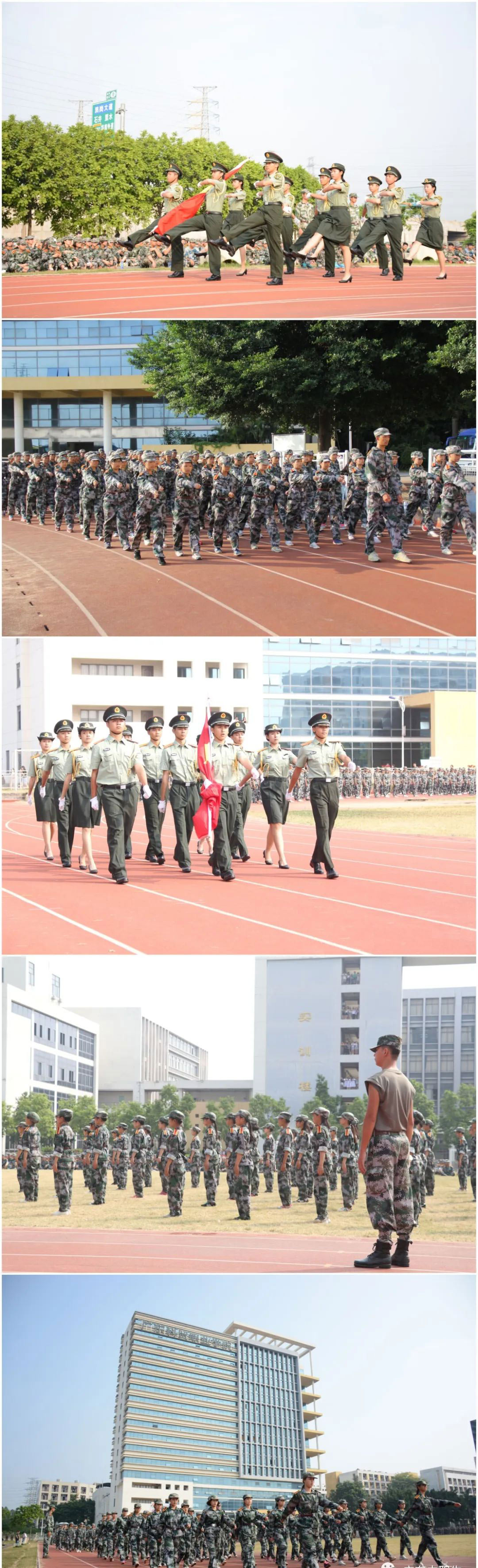 高职高考科贸,高职高考广东科贸职业学院