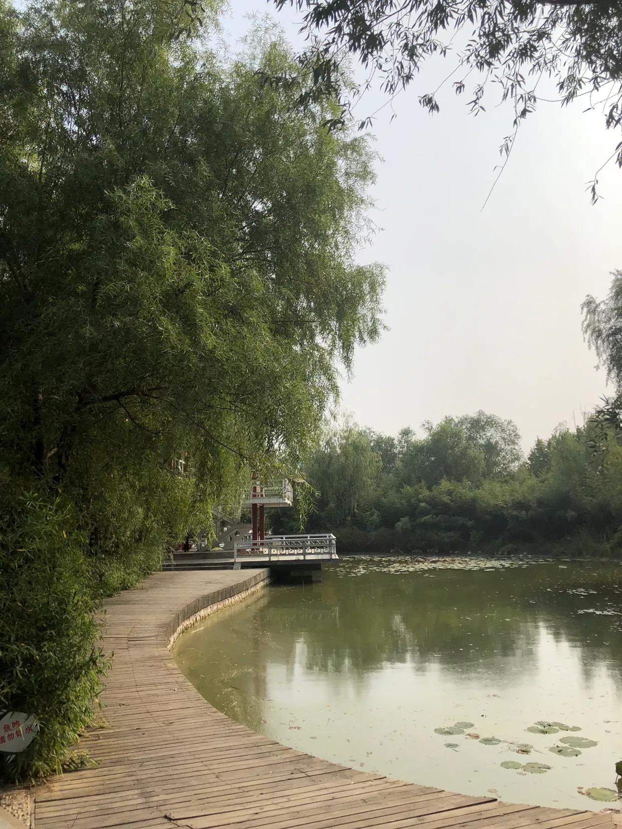 郑州市莲花公园,郑州池南路莲花公园