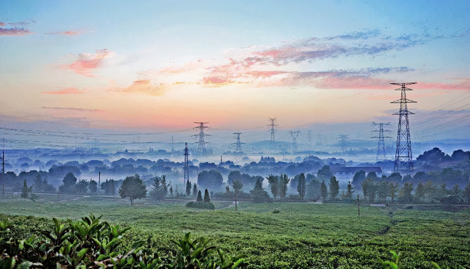 撩人无锡话,无锡锡城花路
