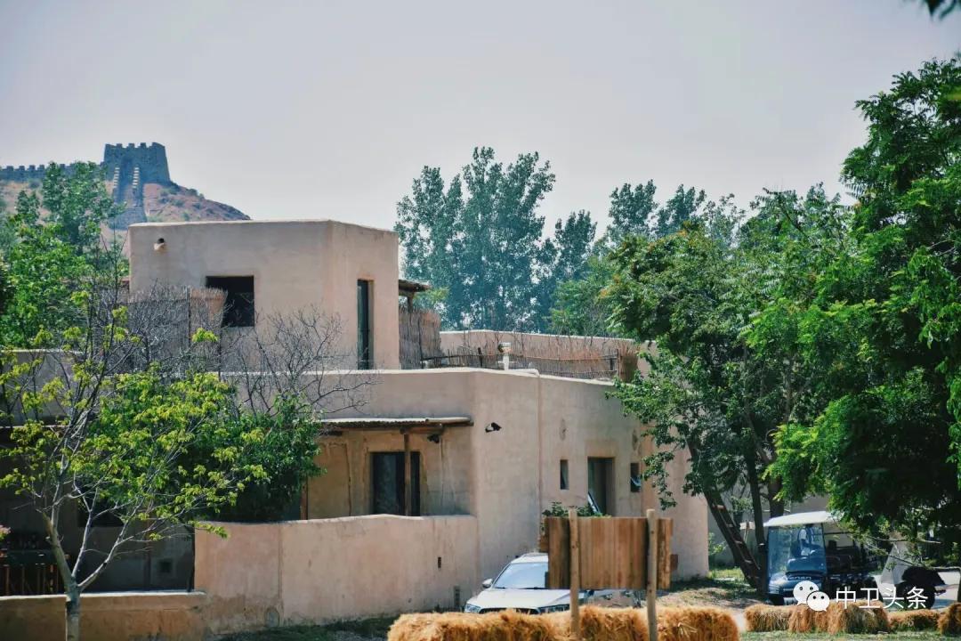 中卫大学生,大学生沙坡头