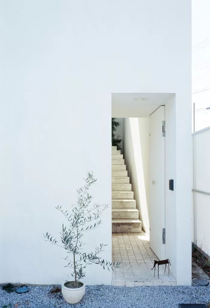 买不起大房子，日本教授为妻子造18m²“豪宅”当生日礼物.......