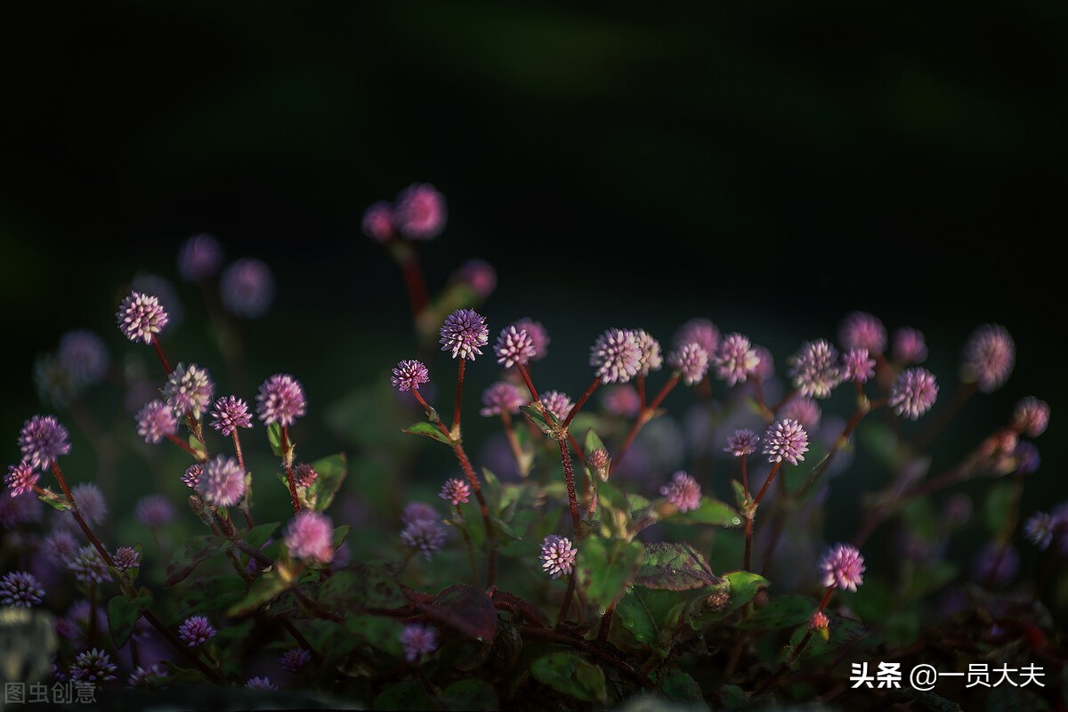 浅谈女士更年期尿道感染的日常防治
