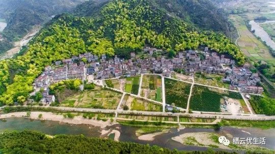 雅宅苦槠豆腐,雅宅苦槠腐