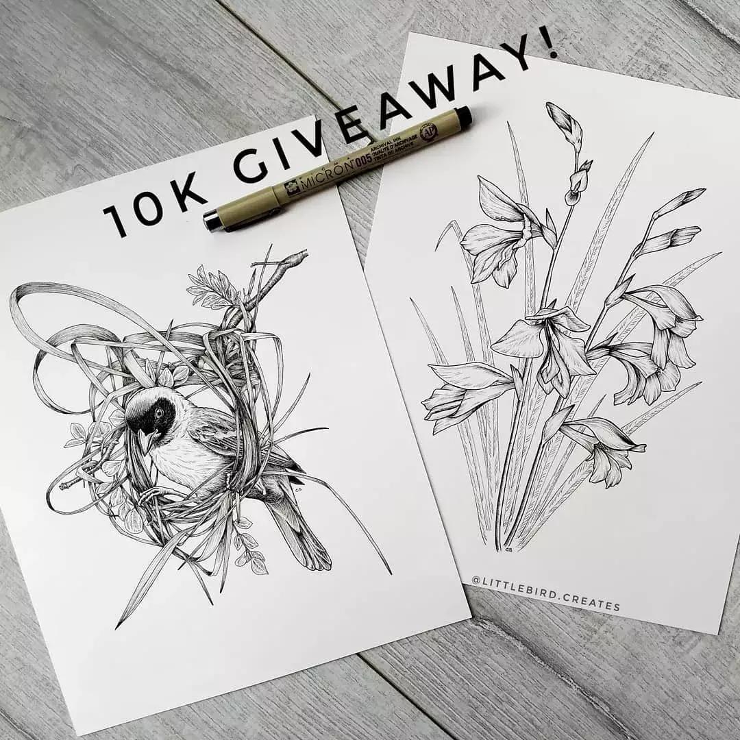 这一波手绘太给力了,绝对让你练完不厉害都难