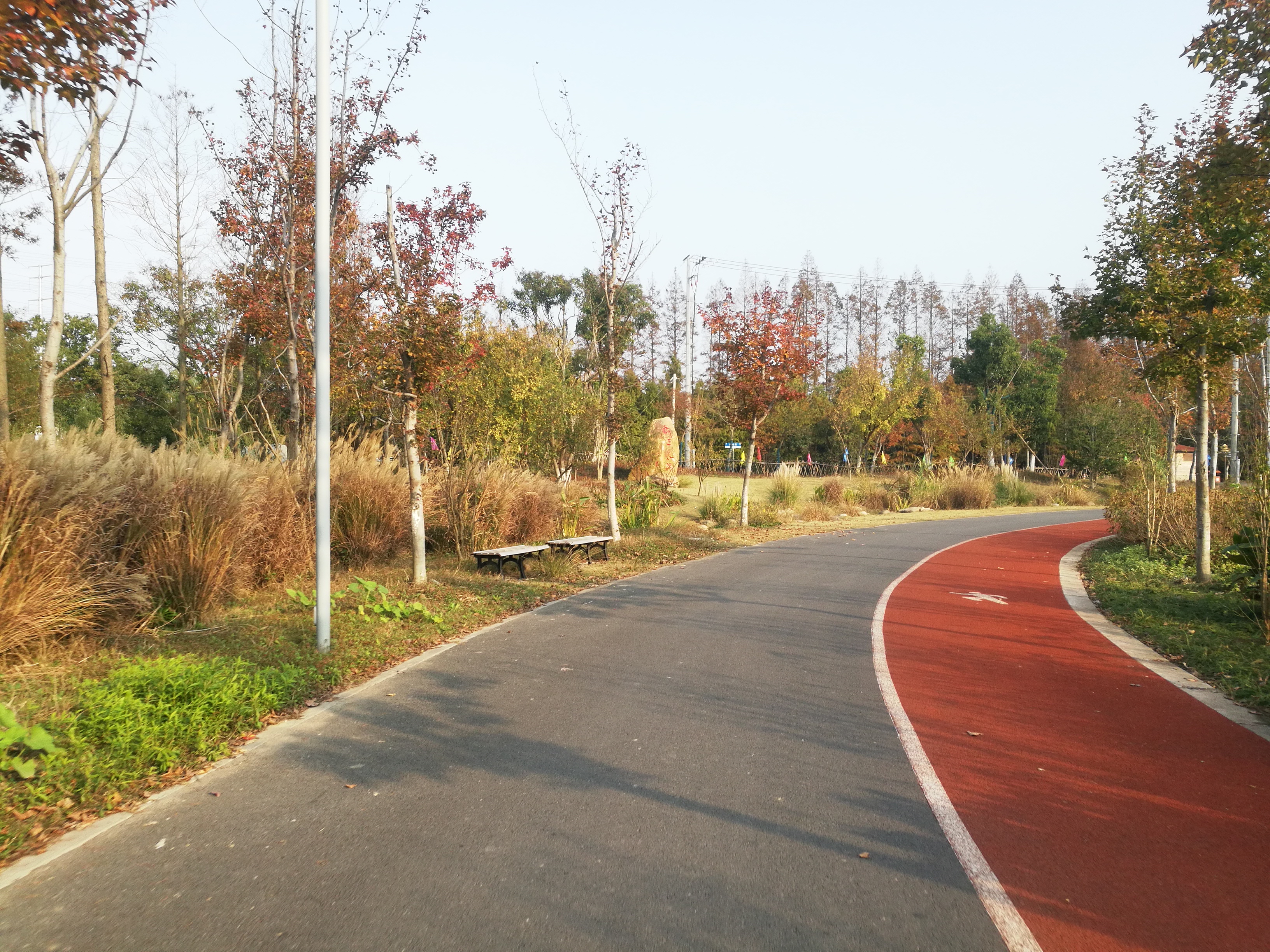 上海长兴岛郊野公园可以看见海吗,长兴岛郊野公园离上海站有几公里