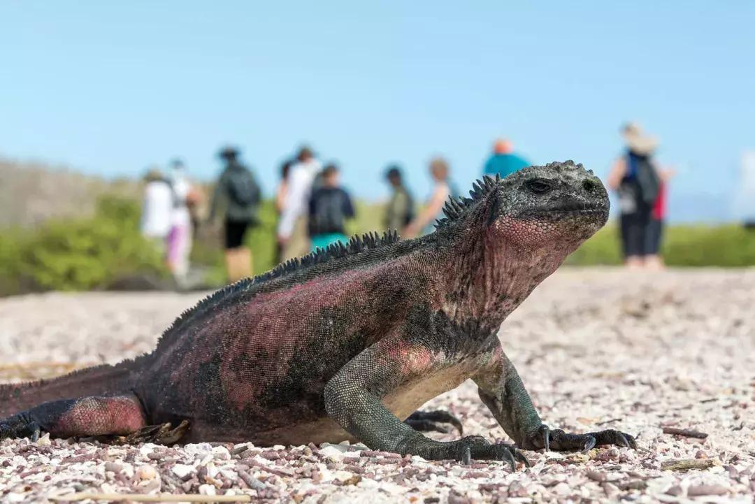 20个理由,十个理由告诉你为什么要独自旅行