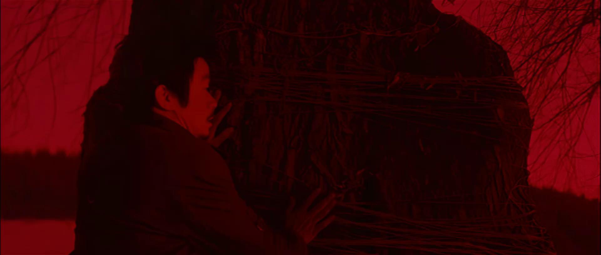 《hello!树先生》最强解析,也许树先生并不是印象中的可怜人