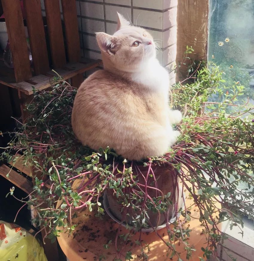 用过最好用的干皮粉底液,最好用的几款粉底液