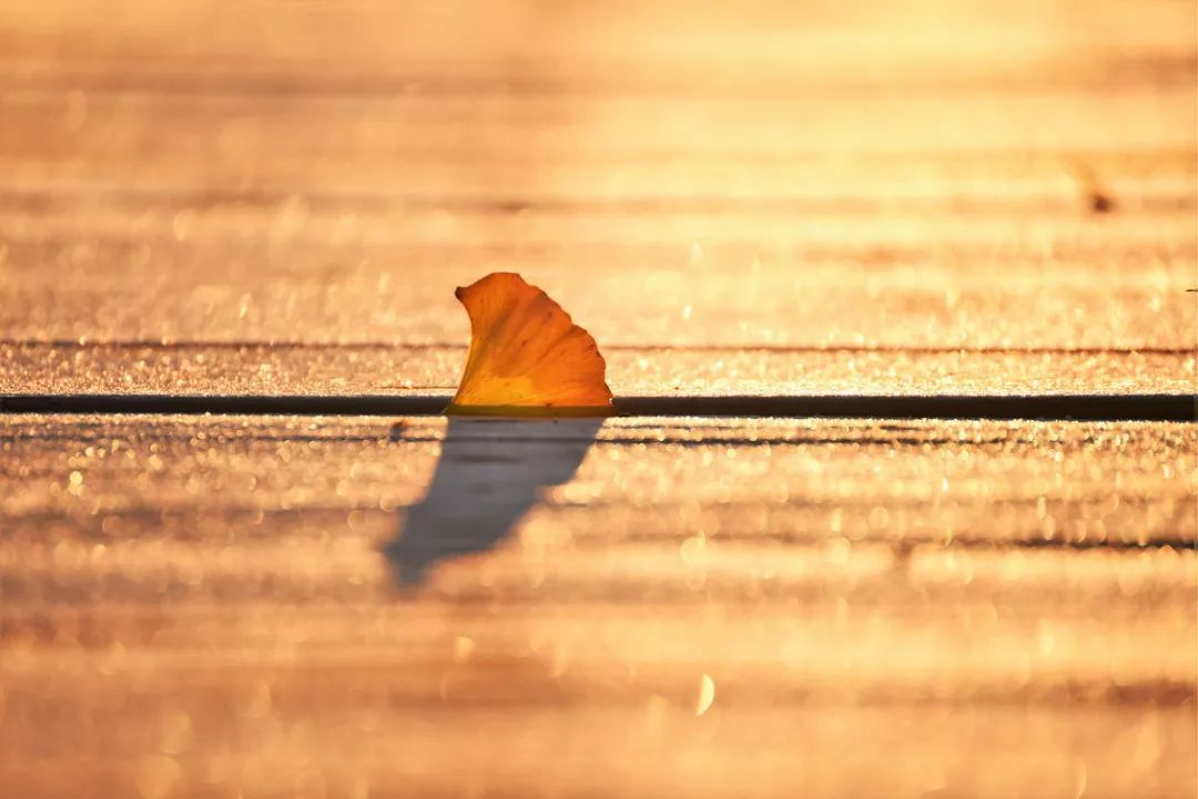 “自大是失败的前兆”：了解自负的4个源头，并非不能克服