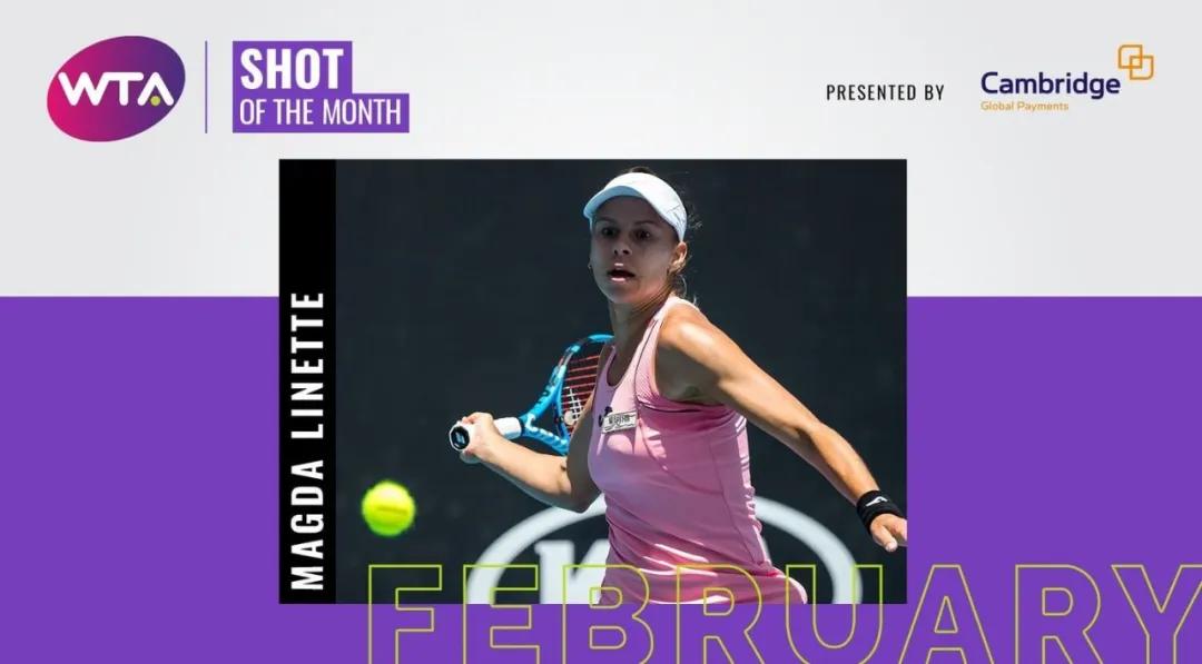 哈勒普十佳球,哈勒普得了几个冠军