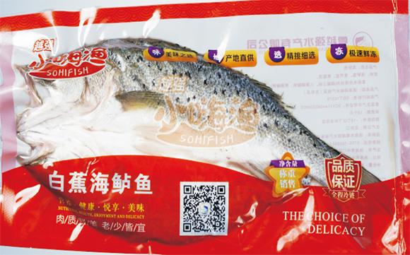 美味绽放，香飘神州|珠海粤越强海鲈产业发展之路