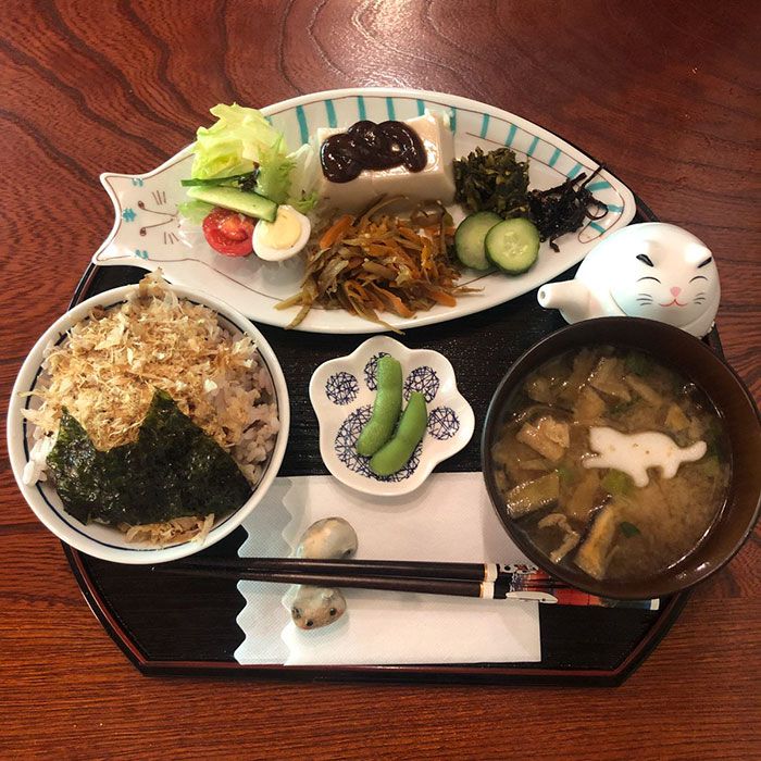 日本都是招财猫的寺庙,猫咪古灵精怪的寺庙