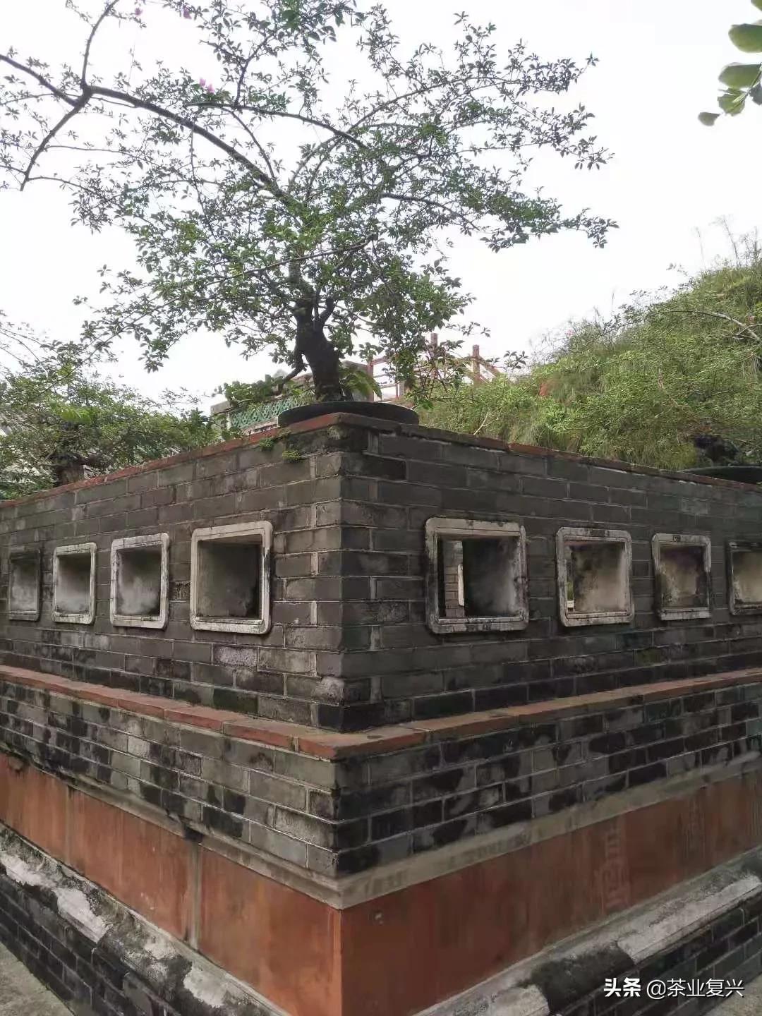 东莞藏茶之都,东莞获授中国藏茶之都