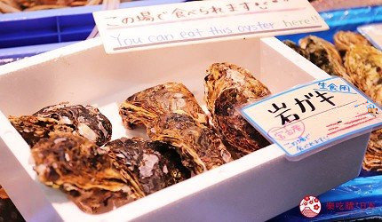 日本岩手县观光攻略,日本岩手县怎么样