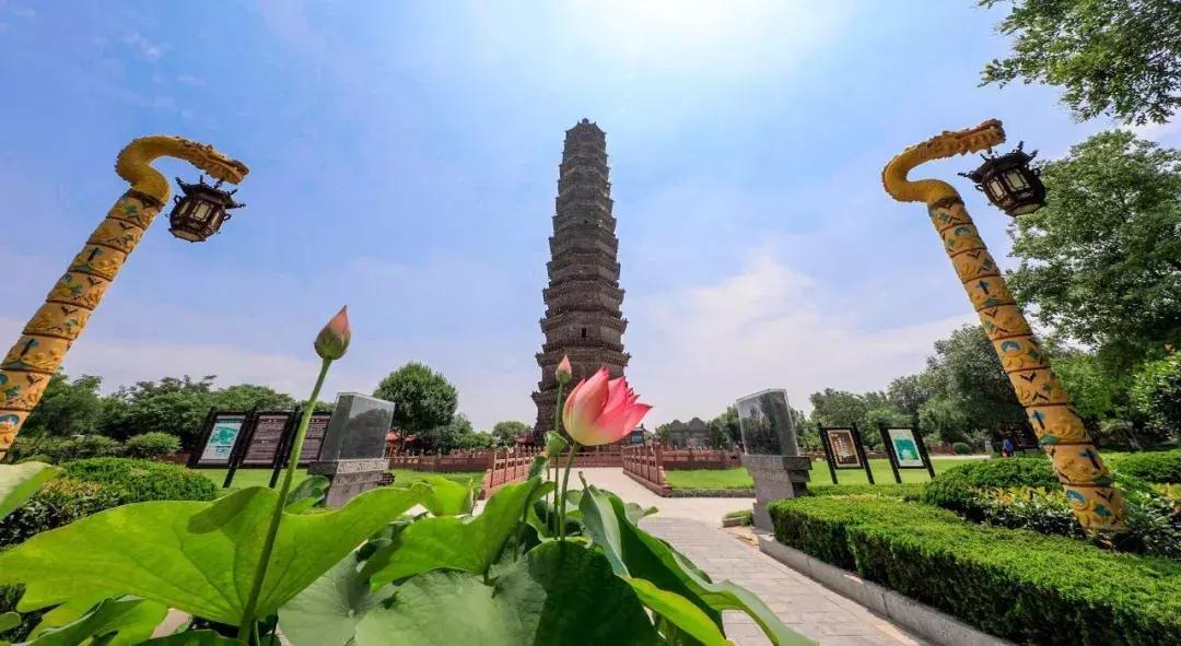 最美赏荷胜地,中国最美荷花美景排名前十